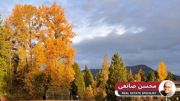 بهترین زمان اثاث کشی در ونکوور کانادا