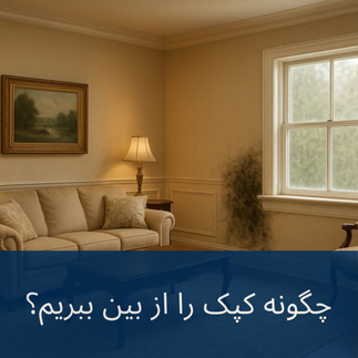 راهنمای از بین بردن کپک